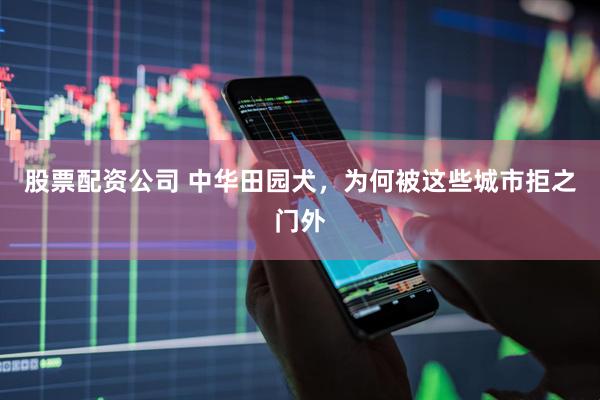 股票配资公司 中华田园犬，为何被这些城市拒之门外