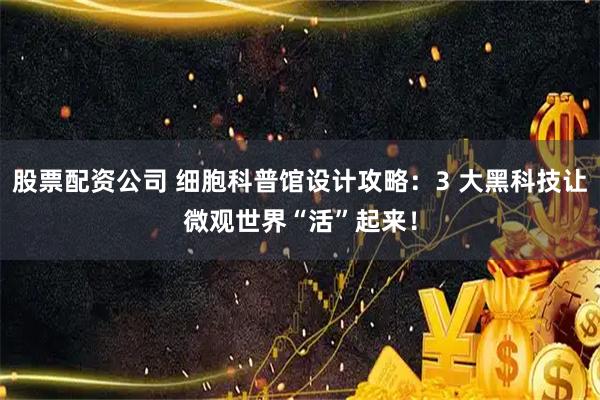 股票配资公司 细胞科普馆设计攻略:3 大黑科技让微观世界“活”起来!